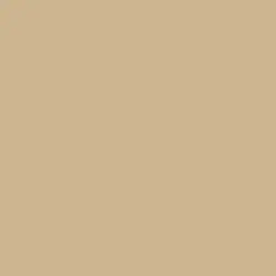 Warm and Toasty Color de pintura DET646