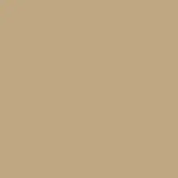 Equestrian Paint Color DET661
