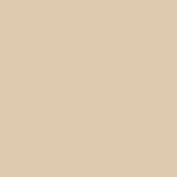 Cameo Role Paint Color DET671