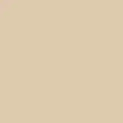 Cameo Role Paint Color DET671