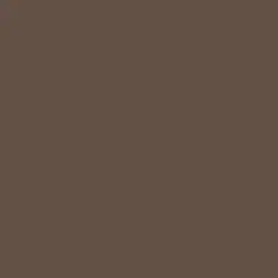Mayan Chocolate Paint Color DET693