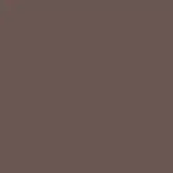 Bourbon Truffle Paint Color DET699