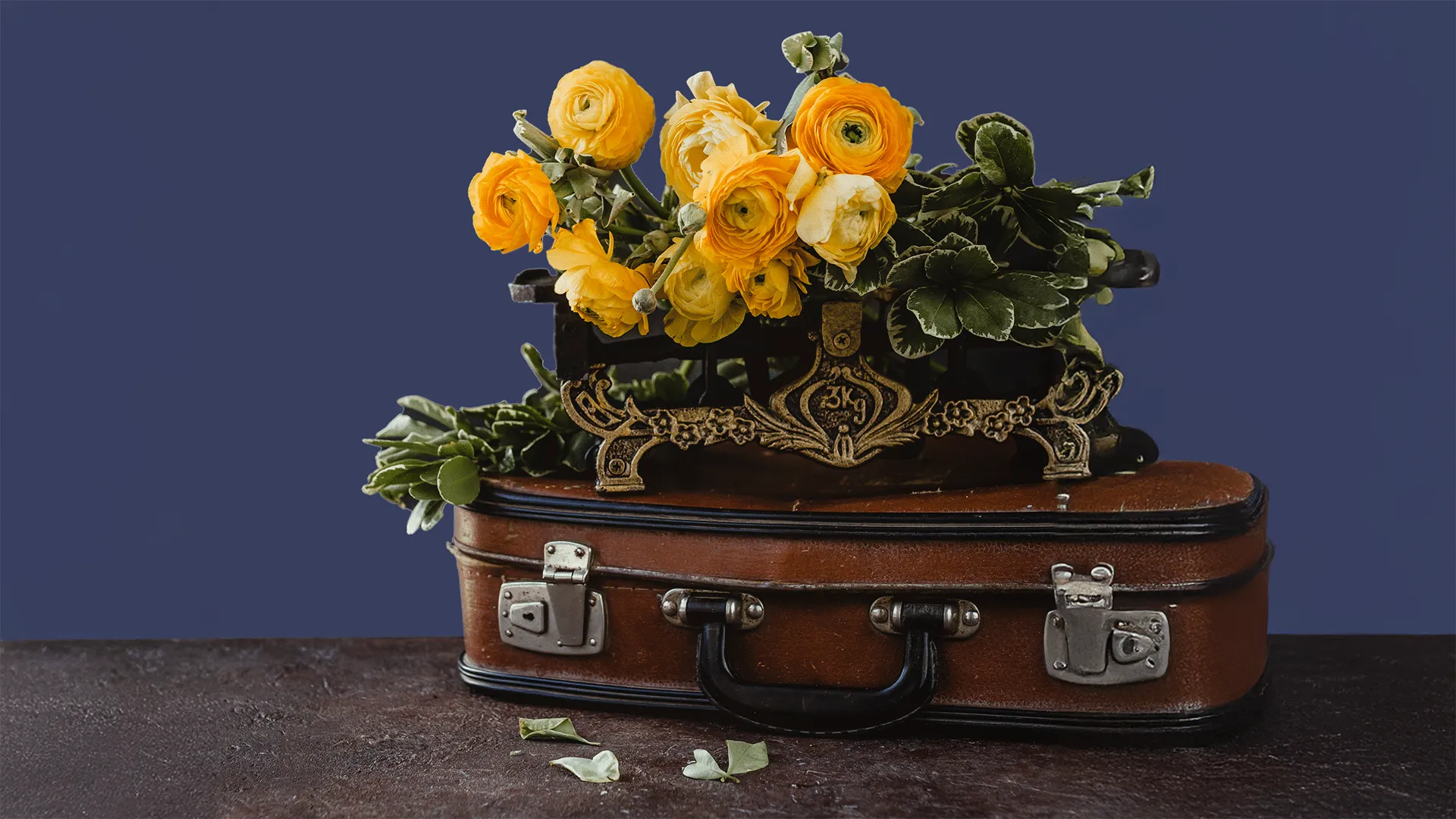 ranunculus-flowers-bouquet-on-vintage-suitcase