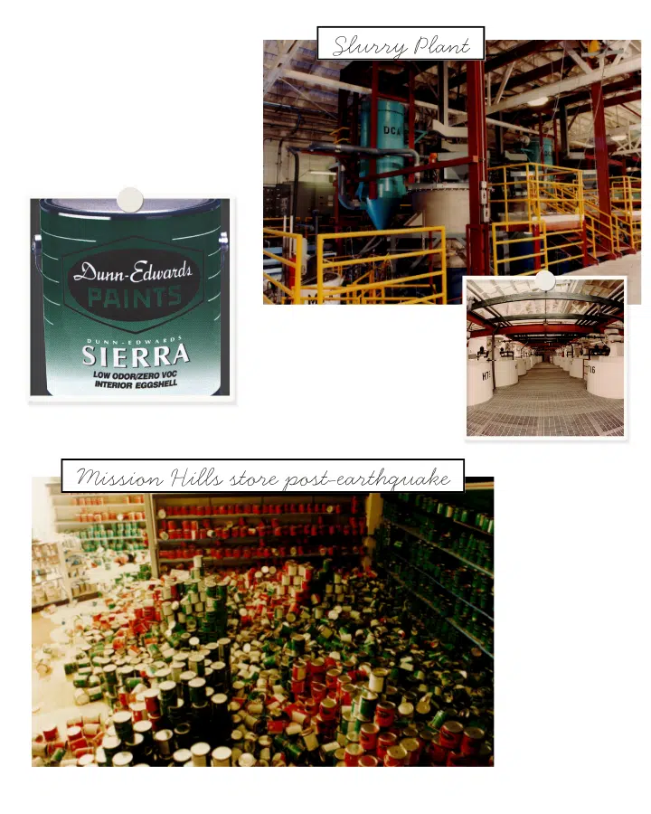 A close up of many different vegetables on display