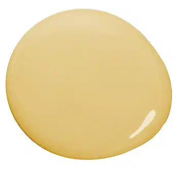 Sonoma Chardonnay Paint Blobs