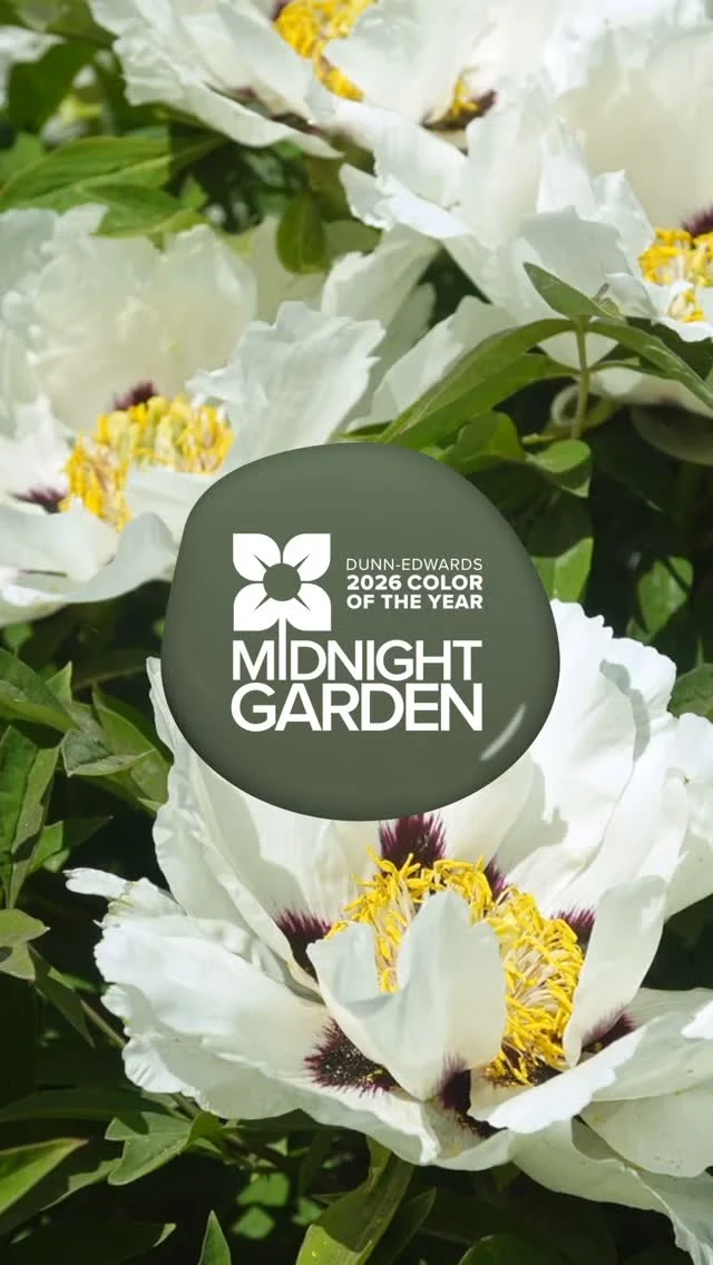 As our 2026 Color of the Year, Midnight Garden (DE5657) captures the beauty of the natural world around us. 🌿 From a lush moonlit garden to the whisper of nature’s quiet elegance, this deep, muted green evokes a sense of wellness, eco-conscious living and timeless design.🔗 Step into the tranquility of Midnight Garden on DunnEdwards.com or tap the link in our bio.#DunnEdwards #ColorOfTheYear #DesignInspiration #PaintColors #DECOTY2026
